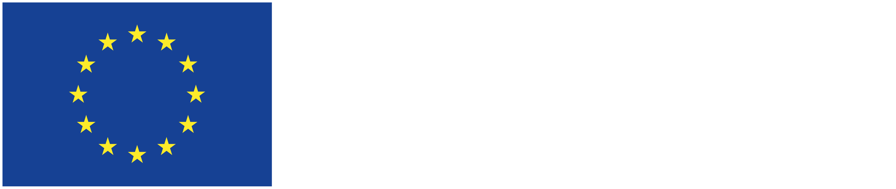 Cofinanziato dall'Unione europea
